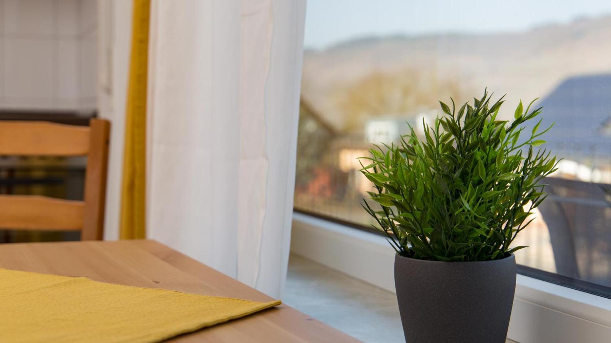 Weingut Roth Apartment Kindel Екстериор снимка